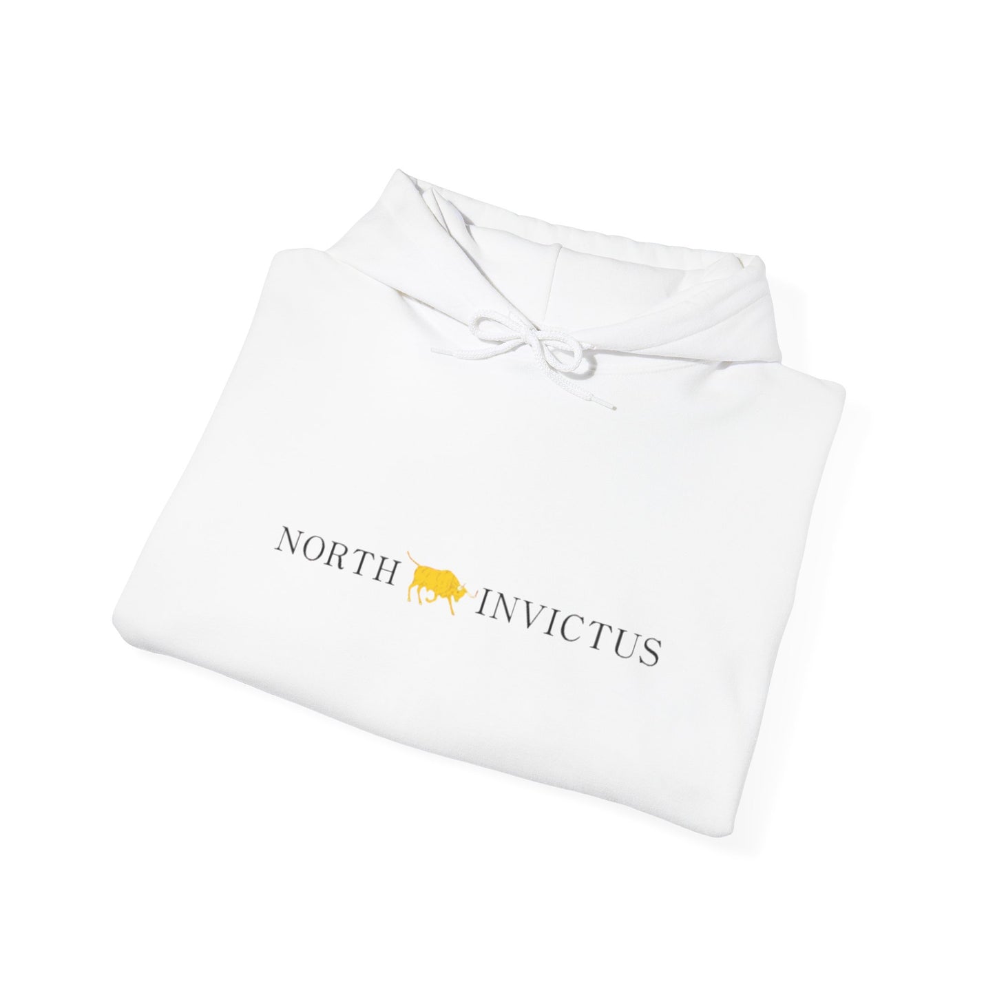 Invictus Unisex Hoodie - Cozy Sweatshirt for Inspiration, Casual Wear, Gifts for Him/Her, Athleisure Clothing, Motivational Fashion