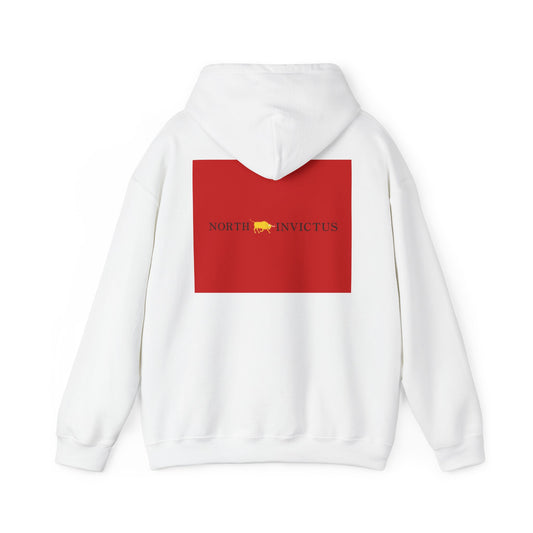 Invictus Unisex Hoodie - Cozy Sweatshirt for Inspiration, Casual Wear, Gifts for Him/Her, Athleisure Clothing, Motivational Fashion