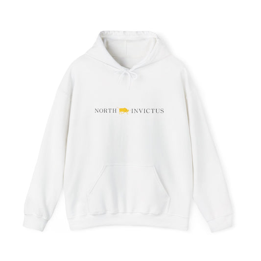 Invictus Unisex Hoodie - Cozy Sweatshirt for Inspiration, Casual Wear, Gifts for Him/Her, Athleisure Clothing, Motivational Fashion